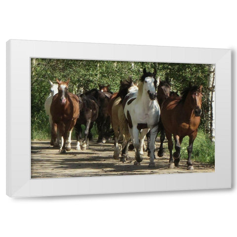 Galloping Friends White Modern Wood Framed Art Print by Prime, Marcus