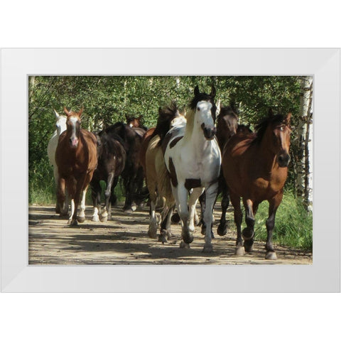 Galloping Friends White Modern Wood Framed Art Print by Prime, Marcus