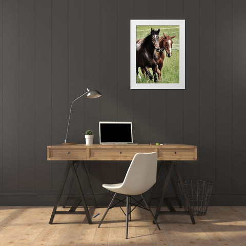 Free Spirits 1 White Modern Wood Framed Art Print by Prime, Marcus