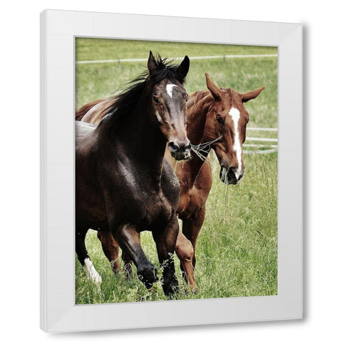 Free Spirits 1 White Modern Wood Framed Art Print by Prime, Marcus