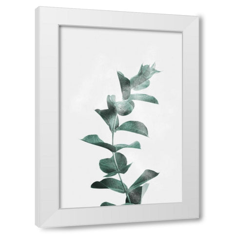 Misty Eucalyptus White Modern Wood Framed Art Print by Prime, Marcus