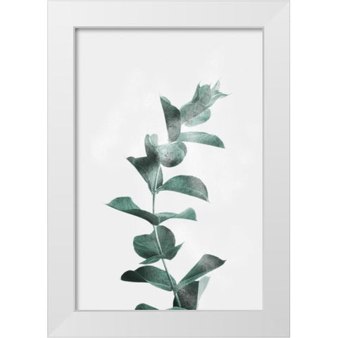 Misty Eucalyptus White Modern Wood Framed Art Print by Prime, Marcus