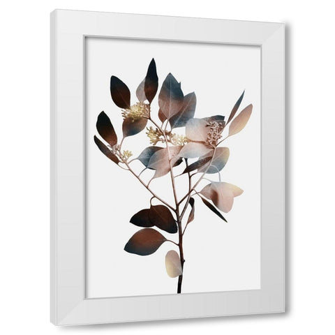 Autumn Eucalyptus 1 White Modern Wood Framed Art Print by Prime, Marcus