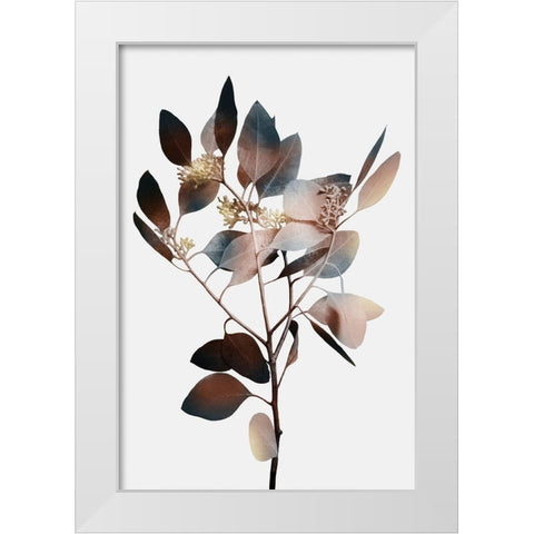 Autumn Eucalyptus 1 White Modern Wood Framed Art Print by Prime, Marcus