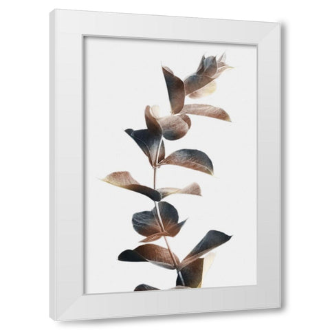 Autumn Eucalyptus 2 White Modern Wood Framed Art Print by Prime, Marcus