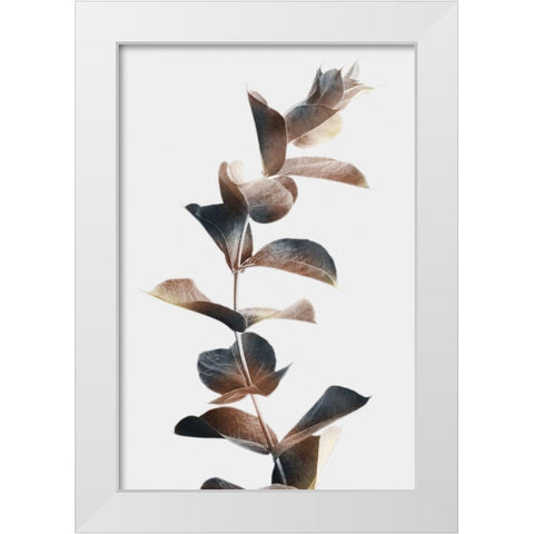 Autumn Eucalyptus 2 White Modern Wood Framed Art Print by Prime, Marcus