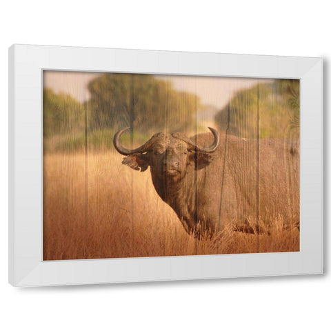 Strolling Fella White Modern Wood Framed Art Print by Prime, Marcus