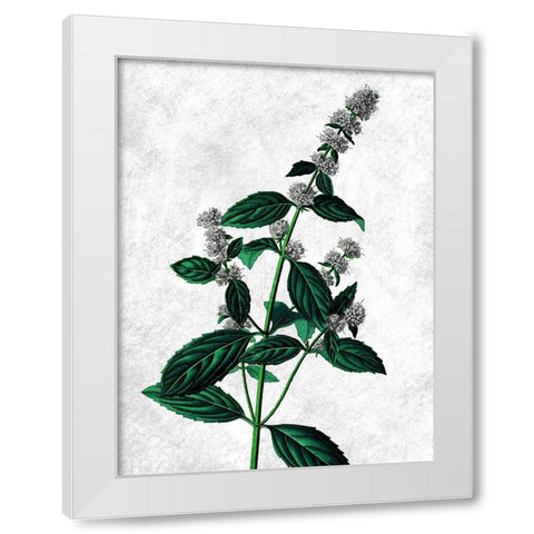 Striking Growth White Modern Wood Framed Art Print by Prime, Marcus