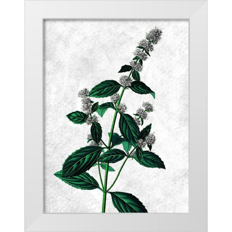 Striking Growth White Modern Wood Framed Art Print by Prime, Marcus