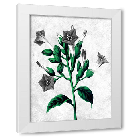 Striking Growth 2 White Modern Wood Framed Art Print by Prime, Marcus