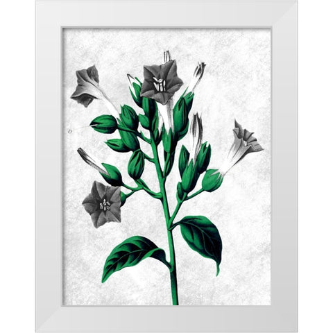 Striking Growth 2 White Modern Wood Framed Art Print by Prime, Marcus