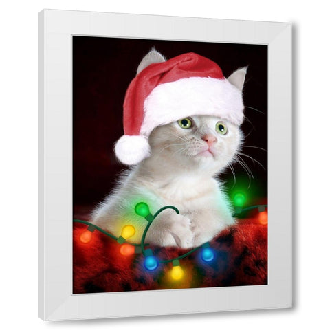 Christmas Kitten White Modern Wood Framed Art Print by Prime, Marcus