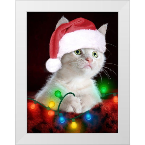 Christmas Kitten White Modern Wood Framed Art Print by Prime, Marcus