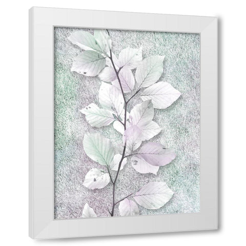 Spring Beauty 1 White Modern Wood Framed Art Print by Prime, Marcus