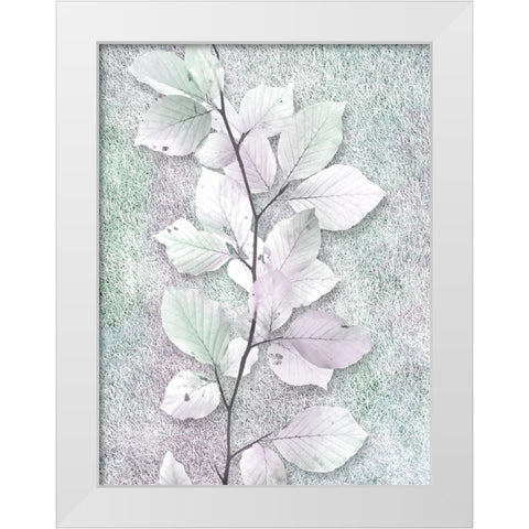 Spring Beauty 1 White Modern Wood Framed Art Print by Prime, Marcus