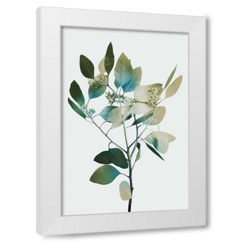 Blonde Eucalyptus 1 White Modern Wood Framed Art Print by Prime, Marcus