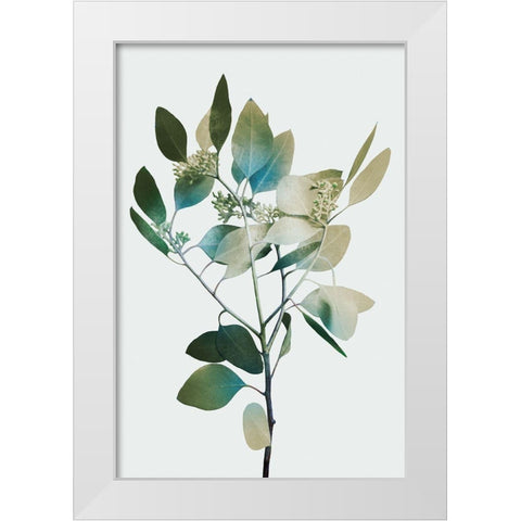 Blonde Eucalyptus 1 White Modern Wood Framed Art Print by Prime, Marcus