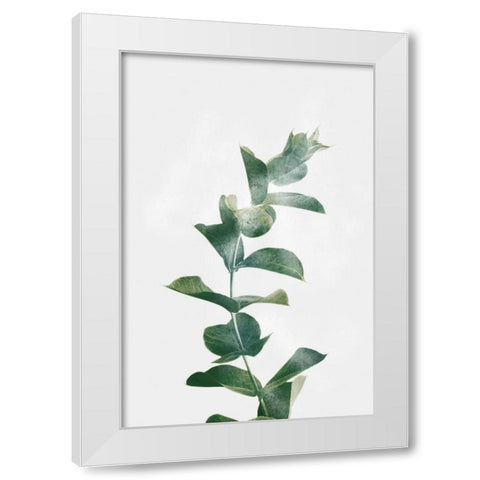Gold Kissed Eucalyptus White Modern Wood Framed Art Print by Prime, Marcus