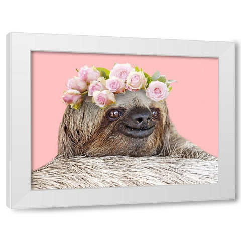Slow Cutie 1 White Modern Wood Framed Art Print by Prime, Marcus