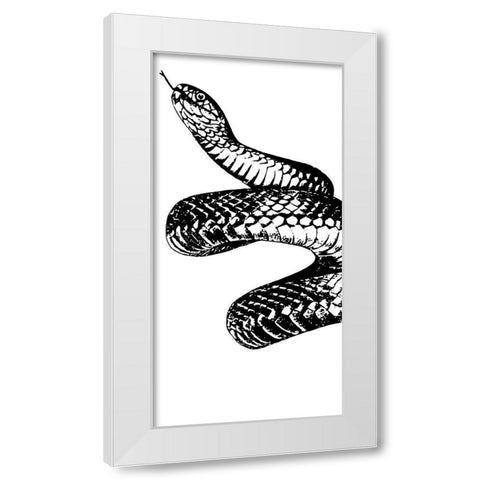 Snake Bite 1 White Modern Wood Framed Art Print by Prime, Marcus