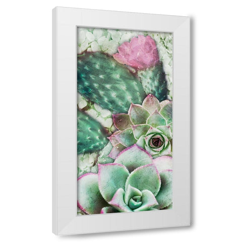 Springtime Succulents 3 White Modern Wood Framed Art Print by Prime, Marcus