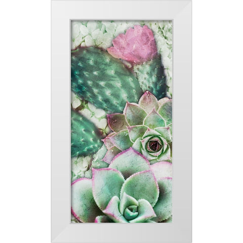 Springtime Succulents 3 White Modern Wood Framed Art Print by Prime, Marcus