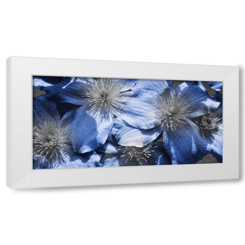 Indigo Wild 1 White Modern Wood Framed Art Print by Prime, Marcus