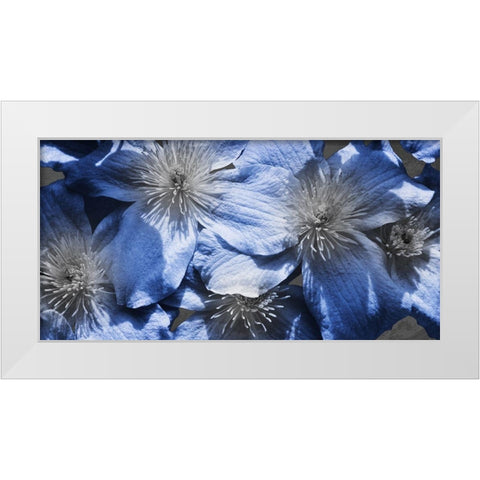 Indigo Wild 1 White Modern Wood Framed Art Print by Prime, Marcus