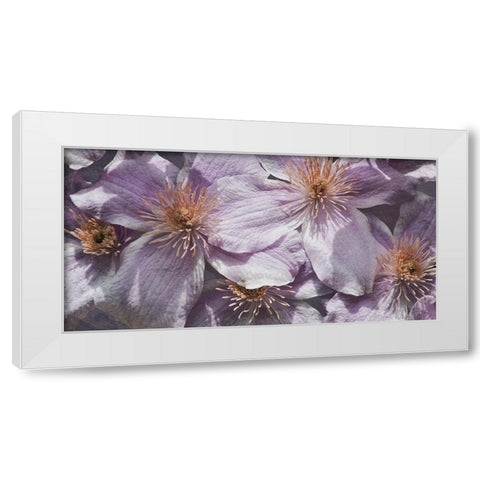 Lavender Explosion 3 White Modern Wood Framed Art Print by Prime, Marcus