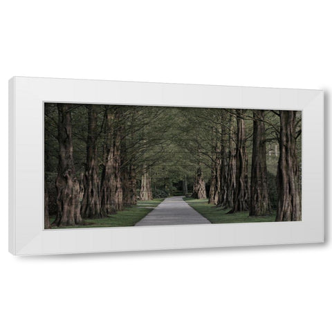 Freedom Road White Modern Wood Framed Art Print by Prime, Marcus
