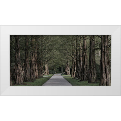 Freedom Road White Modern Wood Framed Art Print by Prime, Marcus