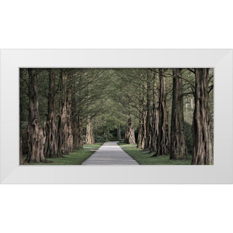 Freedom Road 2 White Modern Wood Framed Art Print by Prime, Marcus