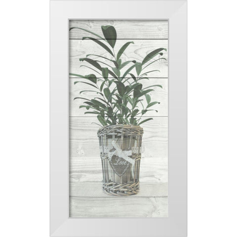 Loving Plant White Modern Wood Framed Art Print by Prime, Marcus