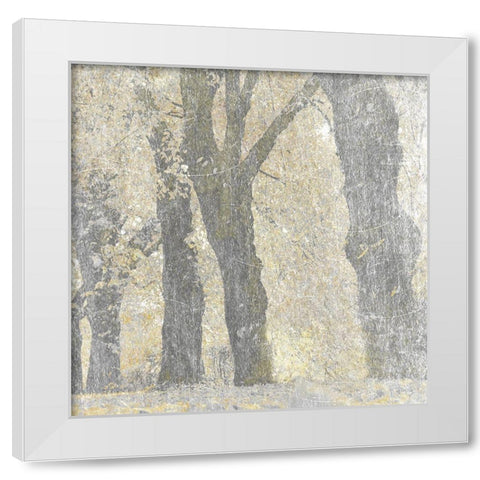 Lost Woods 1 White Modern Wood Framed Art Print by Prime, Marcus
