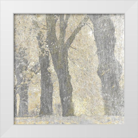 Lost Woods 1 White Modern Wood Framed Art Print by Prime, Marcus