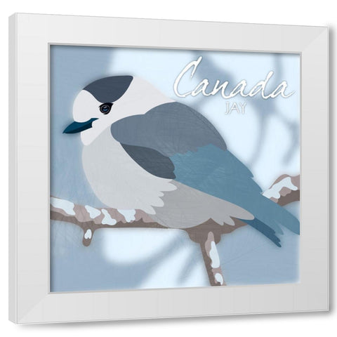 Canada Jay White Modern Wood Framed Art Print by Prime, Marcus