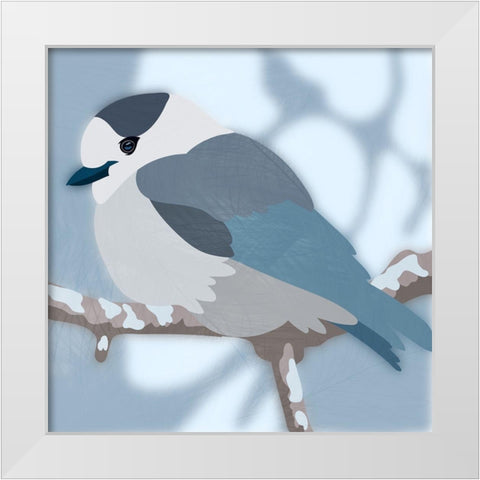 Majestic Jay White Modern Wood Framed Art Print by Prime, Marcus