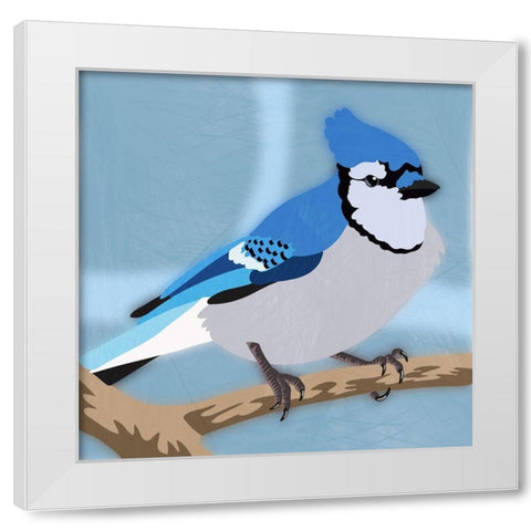 Majestic Blue Jay White Modern Wood Framed Art Print by Prime, Marcus