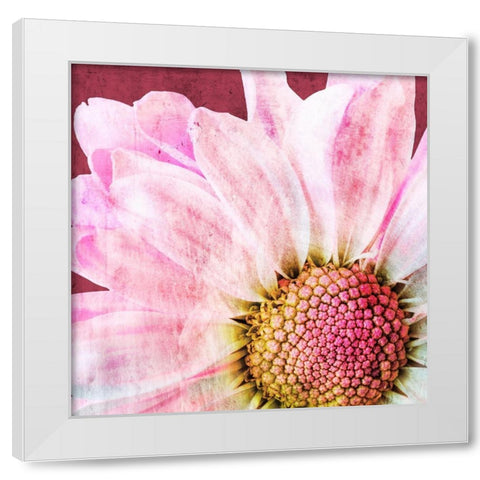 Restful Bloom White Modern Wood Framed Art Print by Prime, Marcus