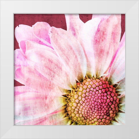 Restful Bloom White Modern Wood Framed Art Print by Prime, Marcus