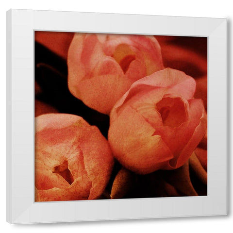 Floral Spice White Modern Wood Framed Art Print by Prime, Marcus