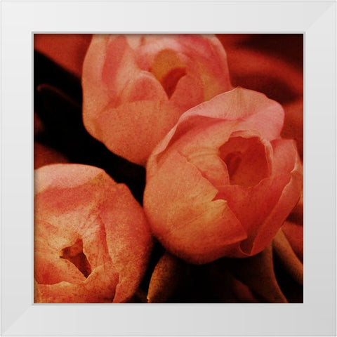 Floral Spice White Modern Wood Framed Art Print by Prime, Marcus