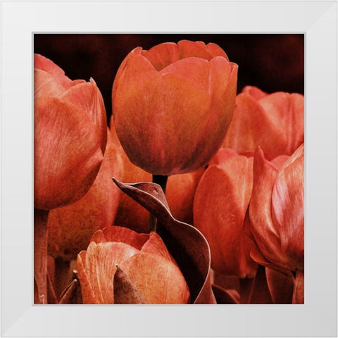 Floral Spice 2 White Modern Wood Framed Art Print by Prime, Marcus