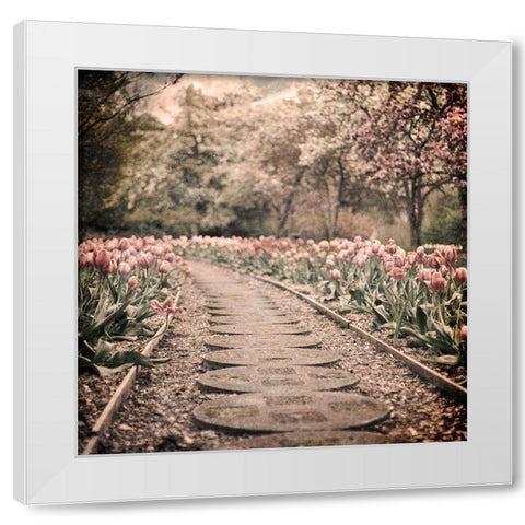 Path To Greatness White Modern Wood Framed Art Print by Prime, Marcus