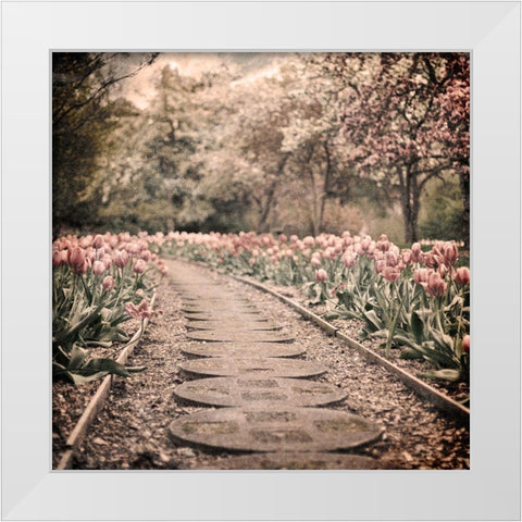 Path To Greatness White Modern Wood Framed Art Print by Prime, Marcus