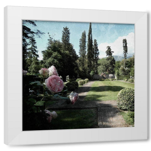 Botanical Desires White Modern Wood Framed Art Print by Prime, Marcus