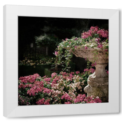 Botanical Entry White Modern Wood Framed Art Print by Prime, Marcus