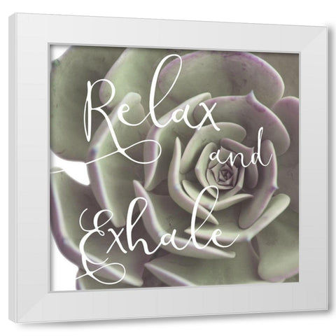 Exhaling Succulent 1 White Modern Wood Framed Art Print by Prime, Marcus