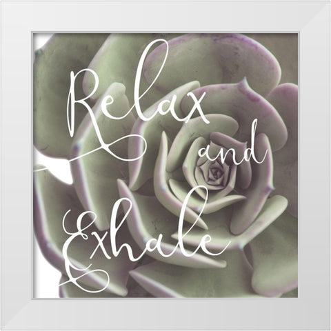 Exhaling Succulent 1 White Modern Wood Framed Art Print by Prime, Marcus