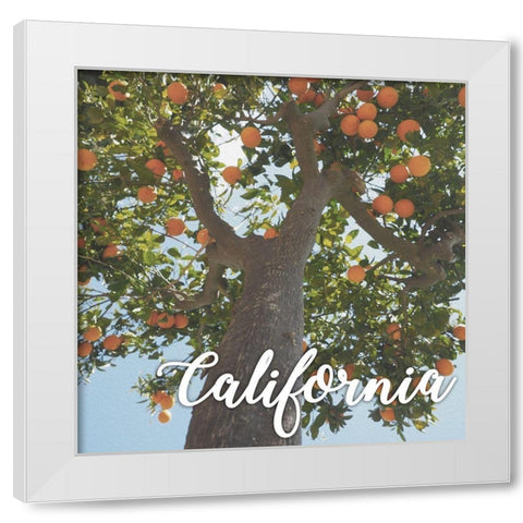 California Orange 1 White Modern Wood Framed Art Print by Prime, Marcus